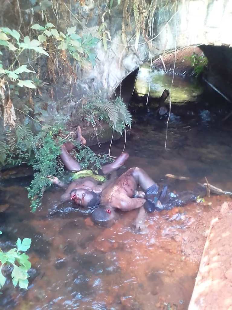Corpses in river in Bambui