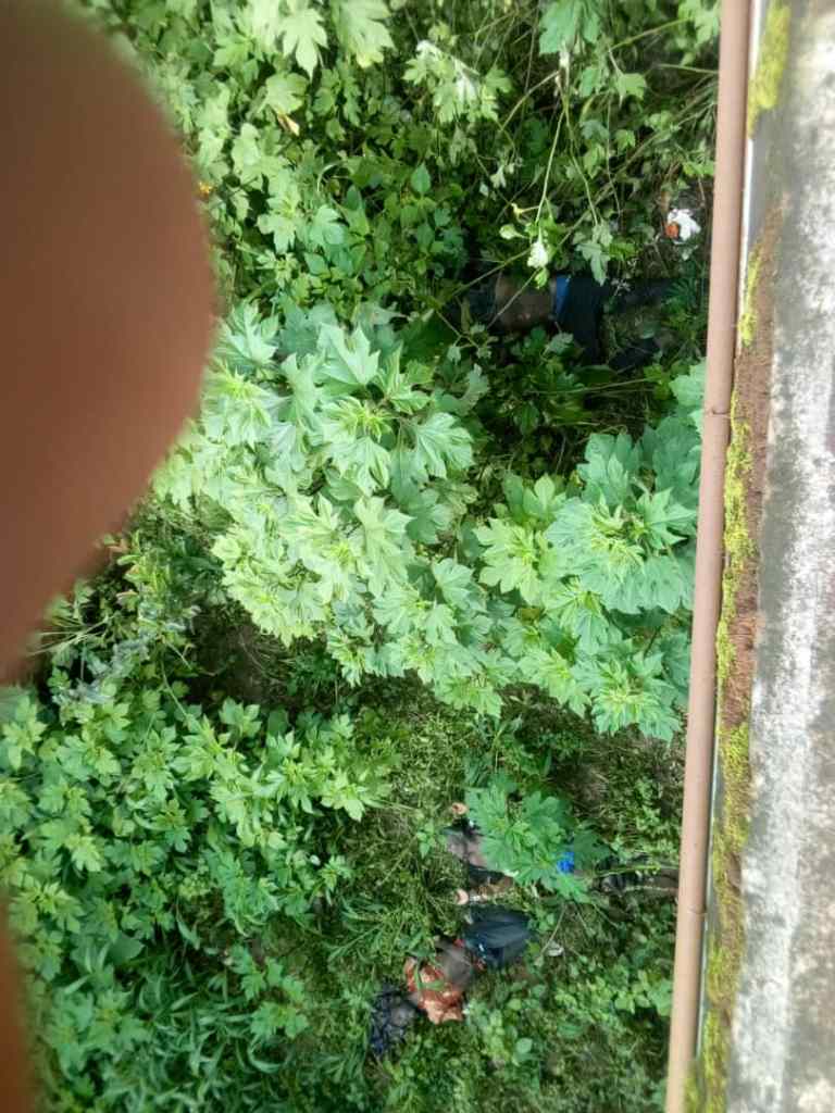 Corpses-dumped-at-nahkah-bridge-in-Bali-nyounga 28 Sept, 2020